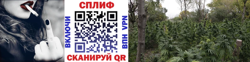 OMG рабочий сайт  Саранск  Конопля план 